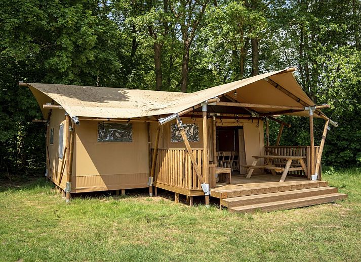 4-6-bed safari tent 4-6S1 in Huizen, North Holland, with green surroundings and spacious veranda.