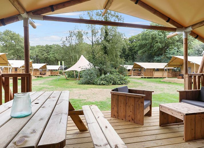 Rustic glamping lodge 4-6S1 in Huizen, North Holland, with wooden terrace and wooded backdrop.