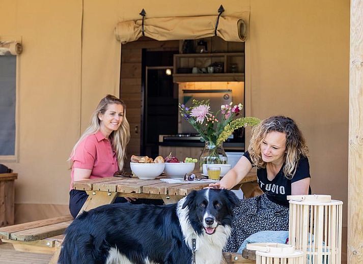 De Bos Tent in Huizen, North Holland: charming safari tent for 4 people with veranda and stove, surrounded by nature on the IJsselmeer coast.
