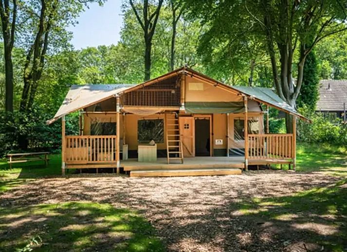 Unterkunft 461622 - Zelthaus IJsselmeerkust - De Bosvilla | 8 Pers. | Kachel