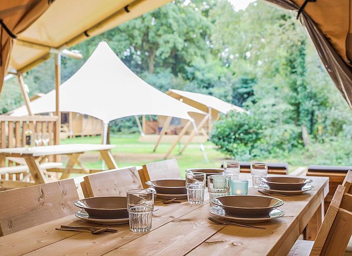 Verblijf 461623 - Tenthuis IJsselmeerkust - De Bos Tent | 5 Pers