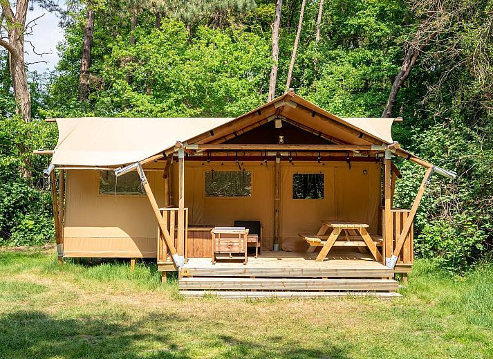 De Heide Tent in Huizen, North Holland offers a cozy glamping experience with an inviting terrace surrounded by green nature.