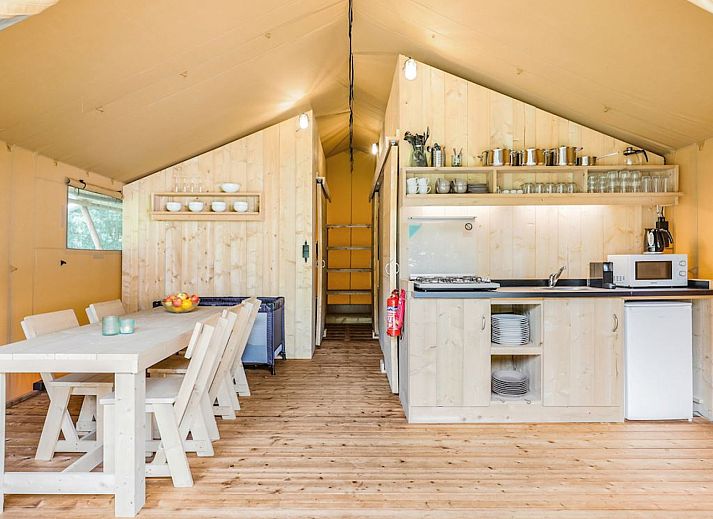 Guest house 461629 - Tent house IJsselmeerkust - De Bos Tent