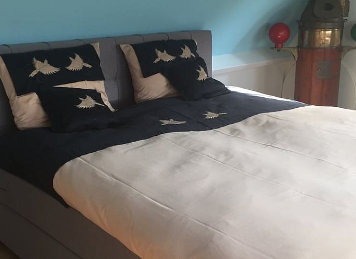 Fruehlingsgarten im Ferienhaus in Twisk, ideal zum Entspannen in der Natur von Nordholland, IJsselmeerkueste.