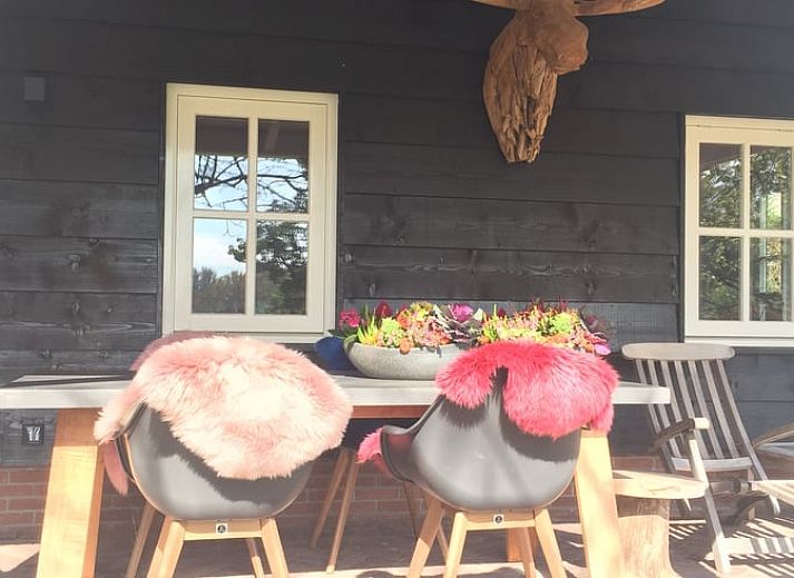 Weite Aussicht von der Terrasse des Ferienhauses in Twisk, umgeben von viel Gruen in Nordholland, IJsselmeerkueste.