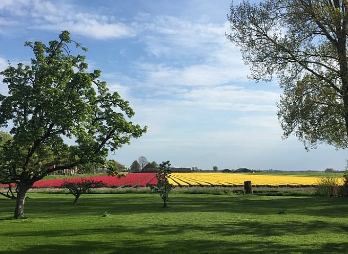 Moderne Kueche im Ferienhaus in Twisk, ausgestattet mit allen Annehmlichkeiten fuer einen komfortablen Aufenthalt in Nordholland.