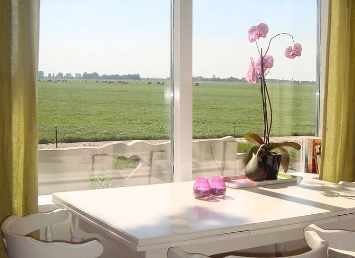 Landstrasse entlang gruener Felder in der Naehe des Ferienhauses in Katwoude, Katwoude, IJsselmeerkueste, Nordholland.