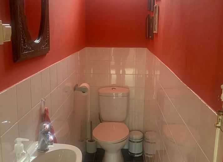 Weidende Kuehe auf der Wiese um das Ferienhaus in Katwoude, Katwoude, IJsselmeerkueste, Nordholland.