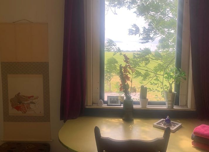 Weidende Kuehe auf der Wiese um das Ferienhaus in Katwoude, Katwoude, IJsselmeerkueste, Nordholland.