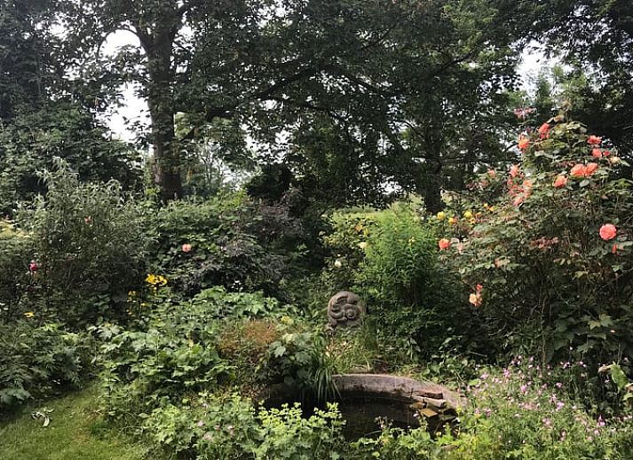 Groene tuin bij Vakantiehuis in Edam, ideaal voor ontspanning in IJsselmeerkust, Noord-Holland.