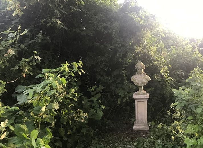 Groene tuin bij Vakantiehuis in Edam, ideaal voor ontspanning in IJsselmeerkust, Noord-Holland.