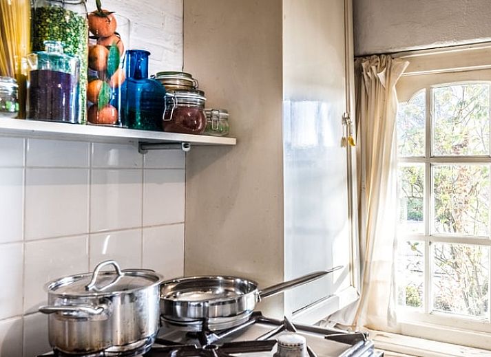 Beeldhouwwerk in de tuin van Vakantiehuis in Edam, een unieke ervaring in IJsselmeerkust.