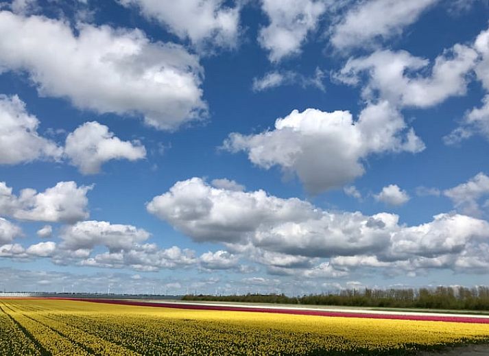 Verblijf 462403 - Vakantiewoning IJsselmeerkust - Vakantiehuis in Opperdoes