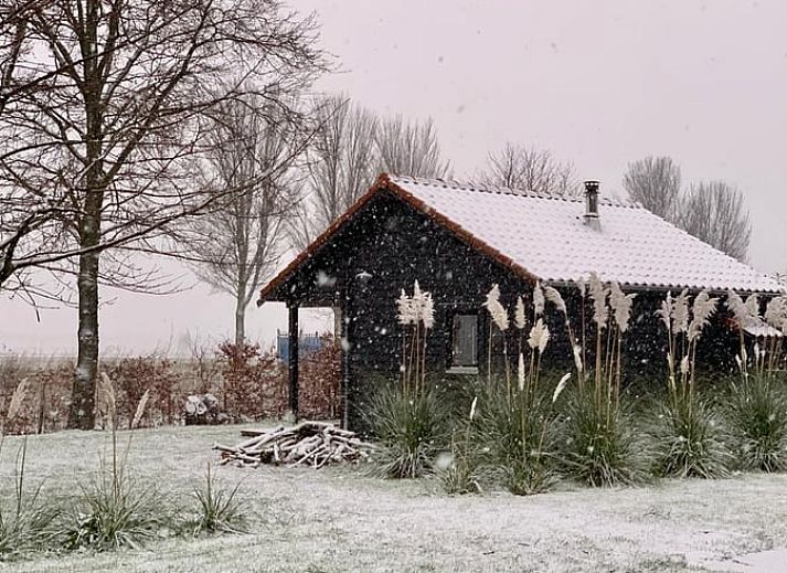Verblijf 462403 - Vakantiewoning IJsselmeerkust - Vakantiehuis in Opperdoes