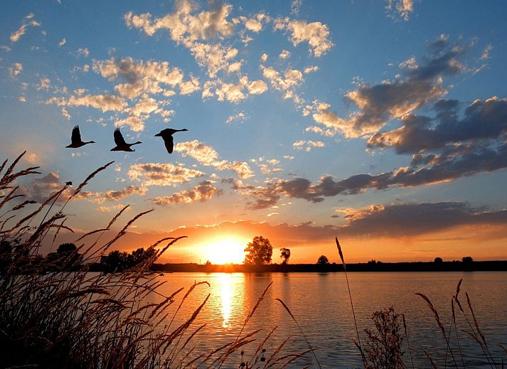 Verblijf 462408 - Vakantiewoning IJsselmeerkust - Vrijstaande woning in Opperdoes