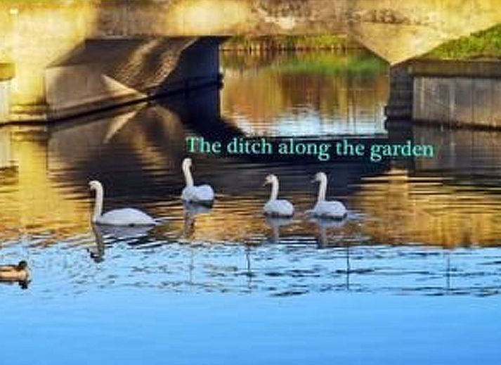 Unterkunft 462509 - Ferienhaus IJsselmeerkust - Vakantiehuis Markermeerlogies