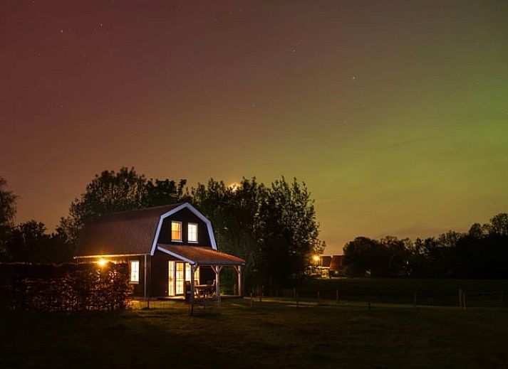 Geniessen Sie den laendlichen Charme im Ferienhaus in Schellinkhout, umgeben von grasenden Kuehen in der gruenen Landschaft der IJsselmeerkueste.