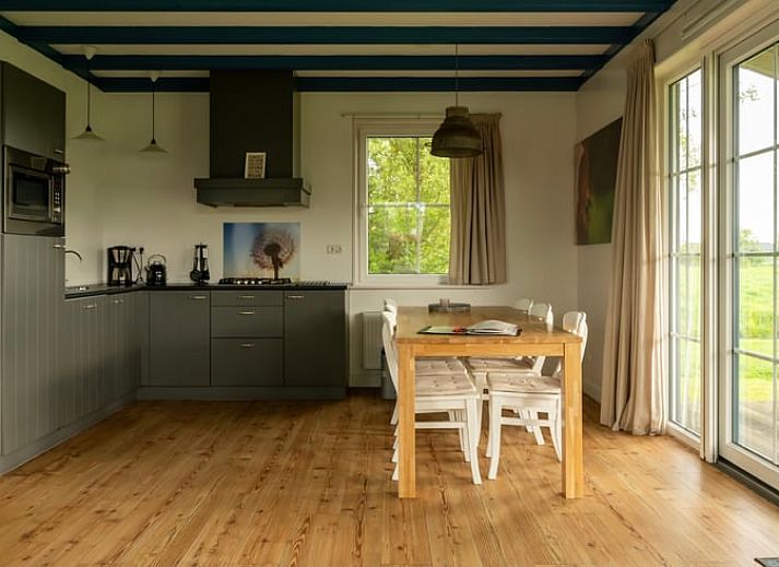 Geniessen Sie den laendlichen Charme im Ferienhaus in Schellinkhout, umgeben von grasenden Kuehen in der gruenen Landschaft der IJsselmeerkueste.