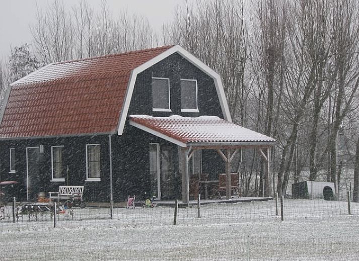 Entdecken Sie die ruhige Nachtatmosphaere im Ferienhaus in Schellinkhout, Nordholland, mit einem wunderschoen beleuchteten Himmel ueber dem Ferienhaus.
