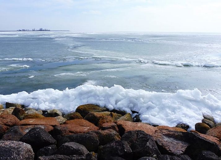Entdecken Sie die ruhige Nachtatmosphaere im Ferienhaus in Schellinkhout, Nordholland, mit einem wunderschoen beleuchteten Himmel ueber dem Ferienhaus.