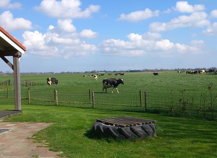 Erleben Sie Komfort im gemuetlichen Wohnzimmer des Ferienhauses in Schellinkhout, mit Blick auf die natuerliche Umgebung der IJsselmeerkueste.