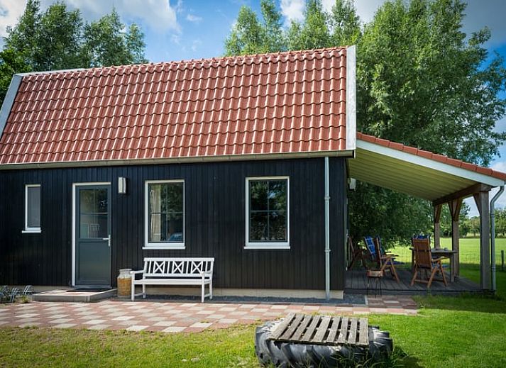 Entdecken Sie die rustikale Umgebung des Ferienhauses in Schellinkhout, wo Schafe friedlich in der weiten Landschaft Nordhollands grasen.