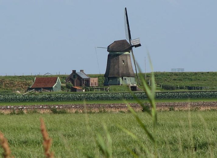 Geniessen Sie die moderne Kueche und den Essbereich im Ferienhaus in Schellinkhout, ideal fuer einen entspannten Aufenthalt an der IJsselmeerkueste.