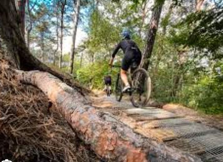 Charmant vakantiehuis Huisje in Wieringerwerf met zonnig terras in IJsselmeerkust, Noord-Holland.