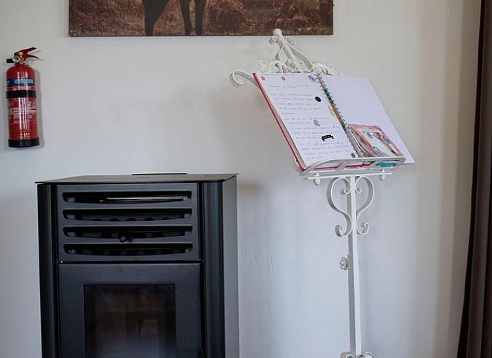 Bloeiende bloemen op het terras van Huisje in Wieringerwerf, vakantiehuis in IJsselmeerkust, Noord-Holland.