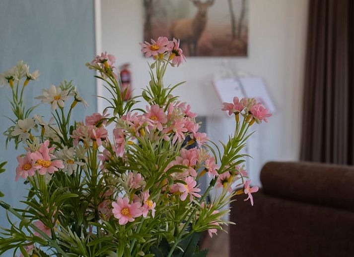 Bloeiende bloemen op het terras van Huisje in Wieringerwerf, vakantiehuis in IJsselmeerkust, Noord-Holland.