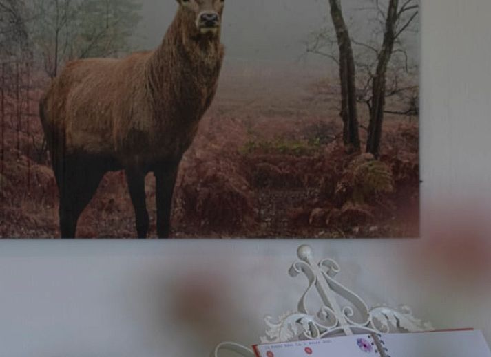 Knusse slaapkamer in Huisje in Wieringerwerf met uitzicht op groene velden, IJsselmeerkust, Noord-Holland.
