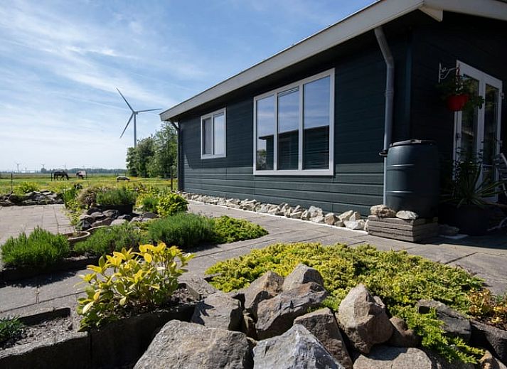 Natuurlijke omgeving met herten nabij Huisje in Wieringerwerf, vakantiehuis in IJsselmeerkust, Noord-Holland.
