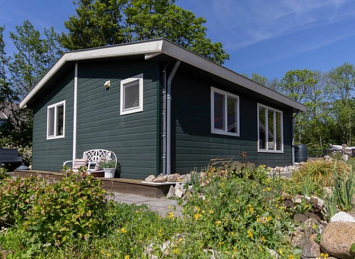 Fietsen door de bossen rond Huisje in Wieringerwerf, ideaal voor natuurliefhebbers in IJsselmeerkust, Noord-Holland.