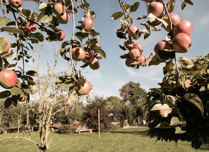 Ferienhaus in Benningbroek, ein charmantes Ferienhaus in Nordholland, umgeben von einem ueppigen Garten und Natur an der Kueste des IJsselmeers.