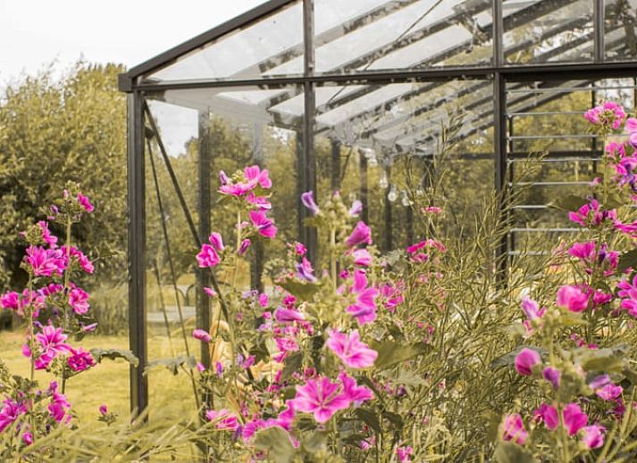 Gemuetlicher Innenraum des Ferienhauses in Benningbroek, Ferienhaus an der Kueste des IJsselmeers, Nordholland, mit komfortabler Sitzecke und Doppelbett.