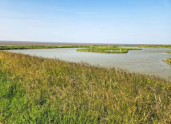 Unterkunft 470207 - Ferienhaus Waddenkust - Vakantiehuis Den Oever