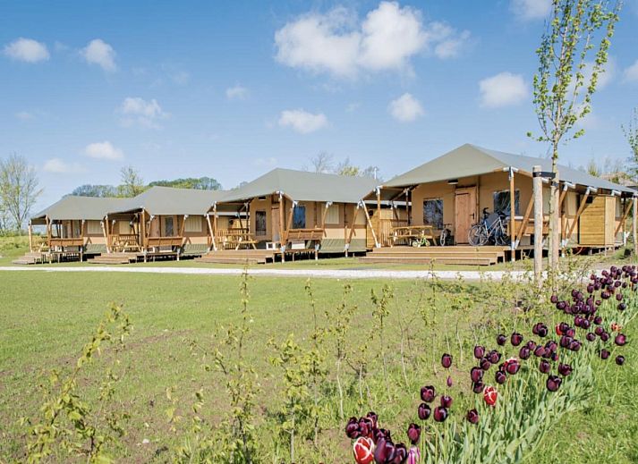 Verblijf 470719 • Tenthuis Waddenkust • Glamping Lodge