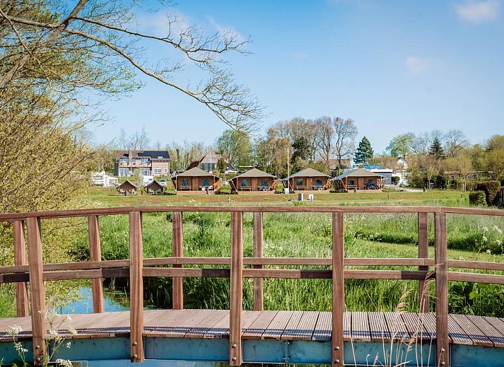 Unterkunft 470719 - Zelthaus Waddenkust - Glamping Lodge