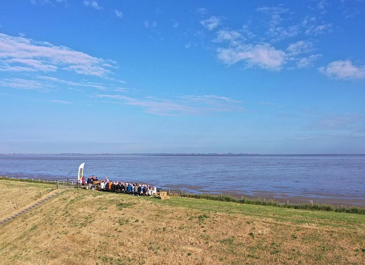 Unterkunft 470719 - Zelthaus Waddenkust - Glamping Lodge