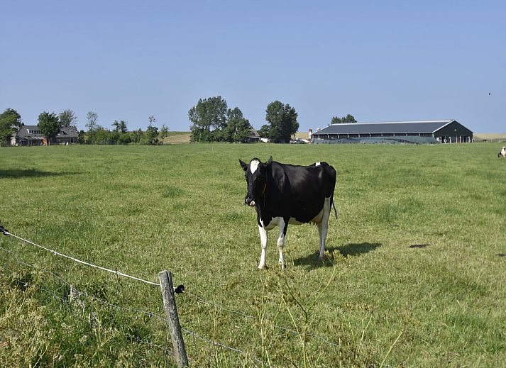 Unterkunft 470849 - Appartement Waddenkust - Het Hoge Noorden