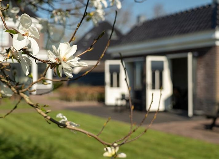 Unterkunft 471303 - Ferienhaus Waddenkust - Vakantiehuis in Breezand