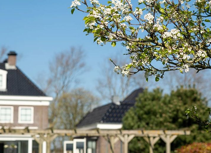 Unterkunft 471303 - Ferienhaus Waddenkust - Vakantiehuis in Breezand
