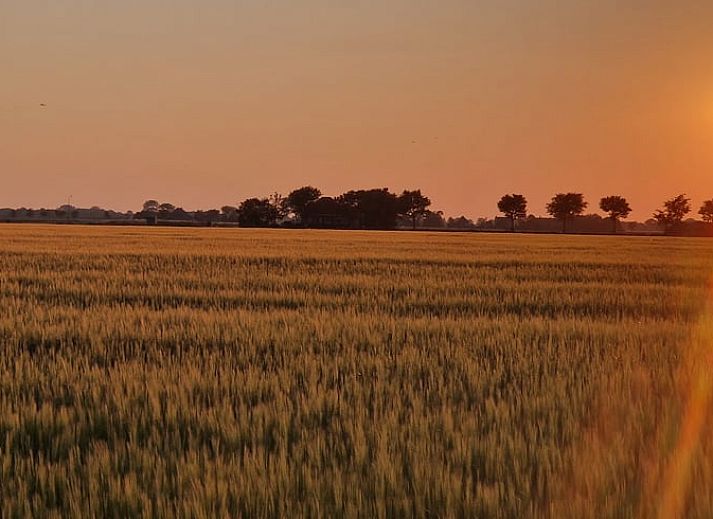 Vakantiehuis in Anna Paulowna, Waddenkust, Noord-Holland, bij zonsondergang met sfeervolle verlichting.
