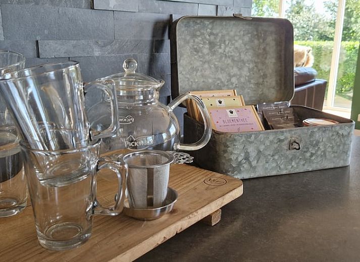 Vakantiehuis in Anna Paulowna, Waddenkust, Noord-Holland, met groene tuin en bloeiende struiken.