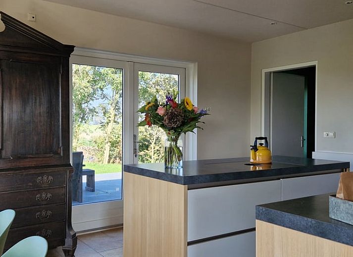 Vakantiehuis in Anna Paulowna, Waddenkust, Noord-Holland, met groene tuin en bloeiende struiken.