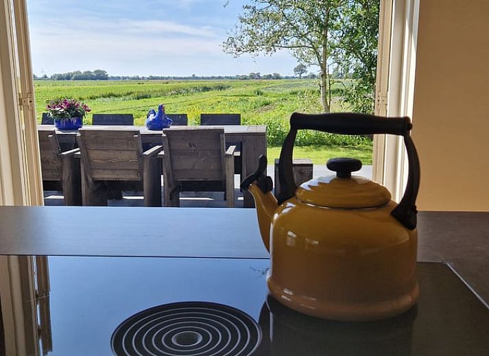 Vakantiehuis in Anna Paulowna, Waddenkust, Noord-Holland, met groene tuin en bloeiende struiken.