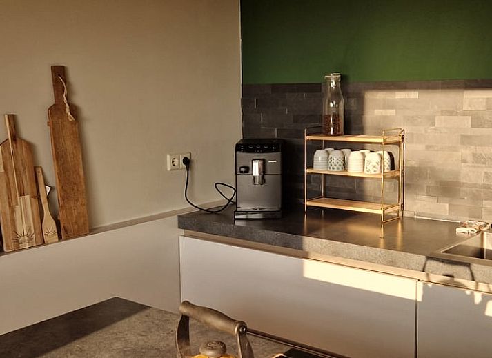 Vakantiehuis in Anna Paulowna, Waddenkust, Noord-Holland, met groene tuin en bloeiende struiken.