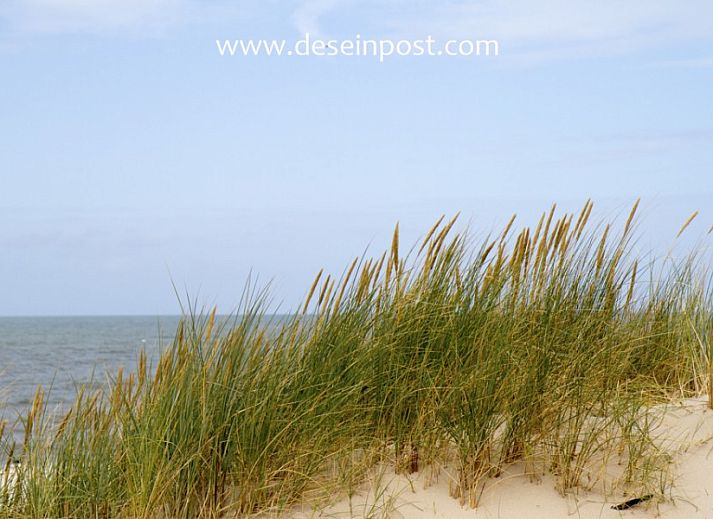 Spacious indoor Callantsoog the Seinpost No. 6 vacation home in Callantsoog, North Sea coast, North Holland.