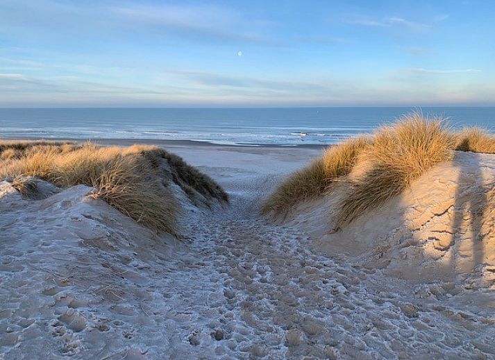 Guest house 480167 - Apartment Noordzeekust - De oude Paardenstal