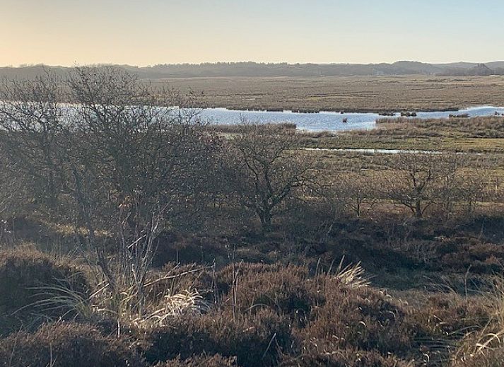 Guest house 480167 - Apartment Noordzeekust - De oude Paardenstal